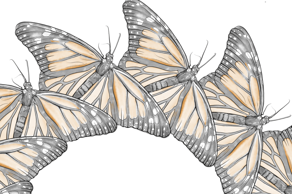 Butterfly Piece